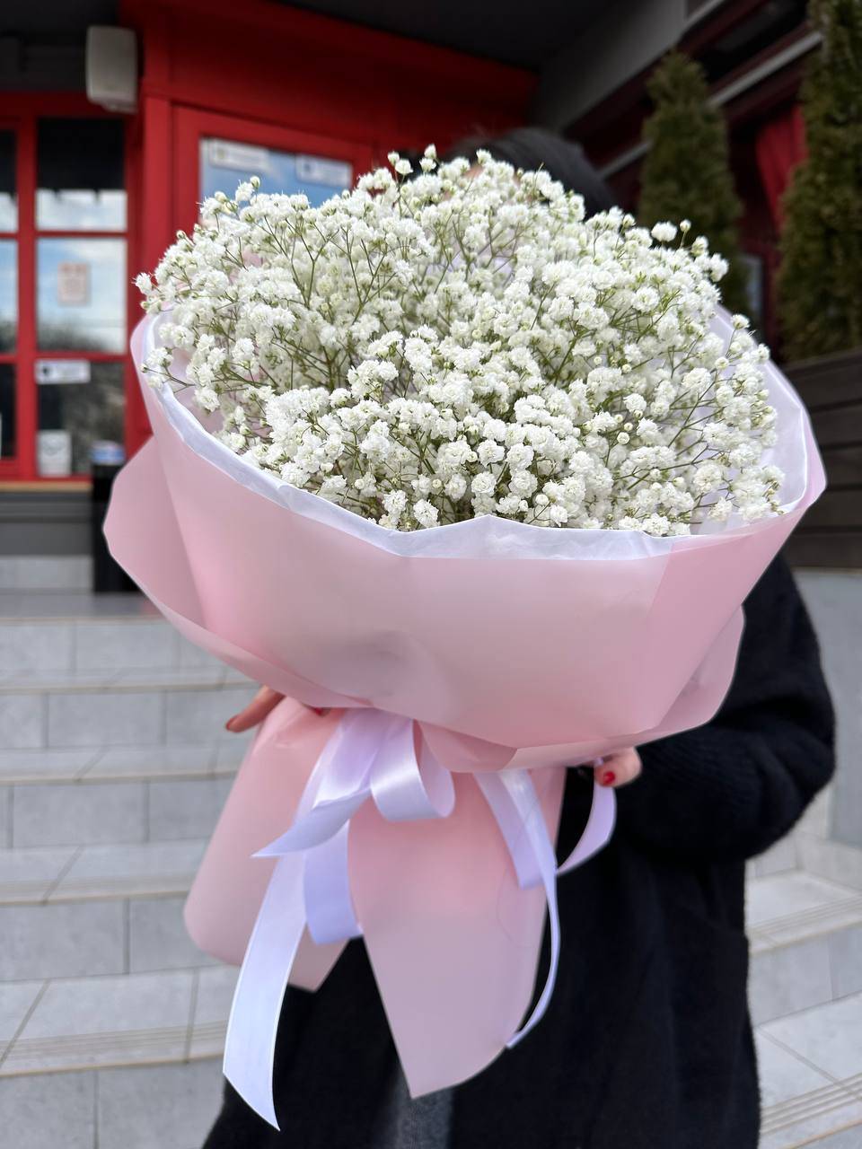 25 white gypsophila
