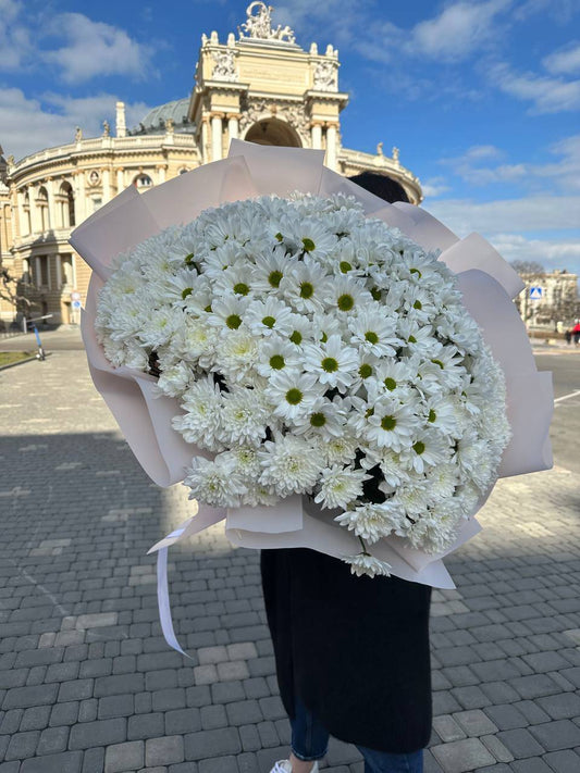 50 white chrysanthemums