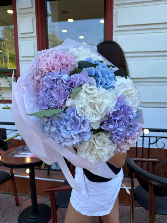 Hydrangea mix
